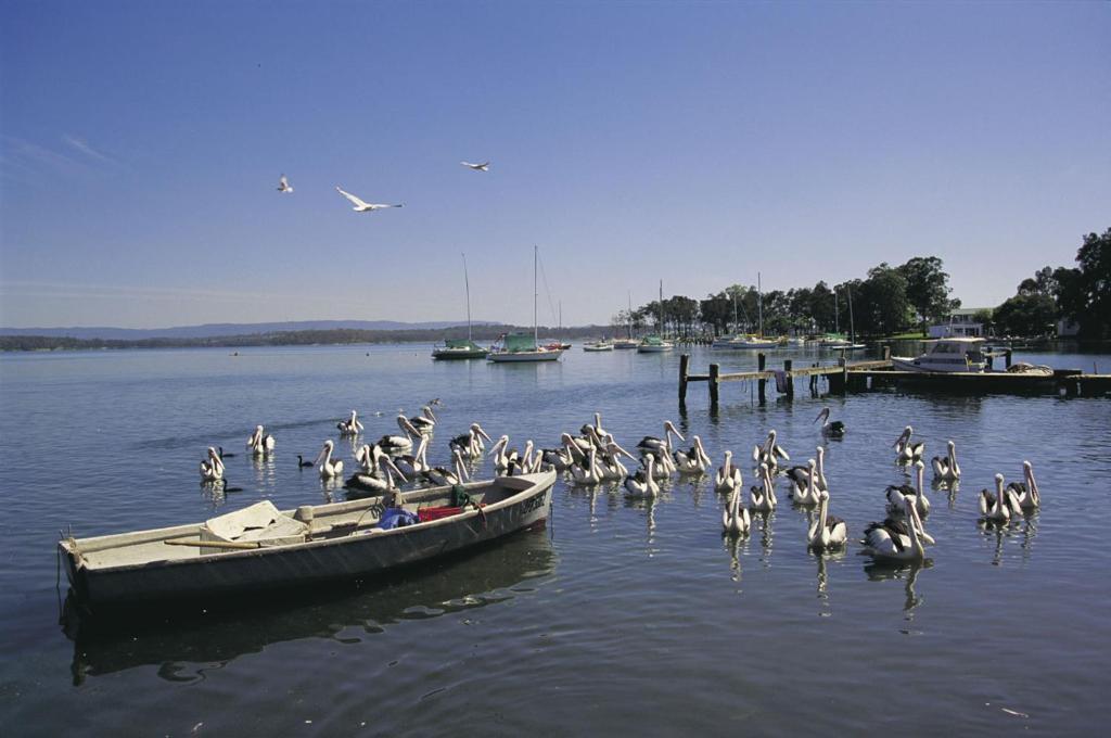 Black Swan Waterfront Motel (Adults Only) Swansea Buitenkant foto